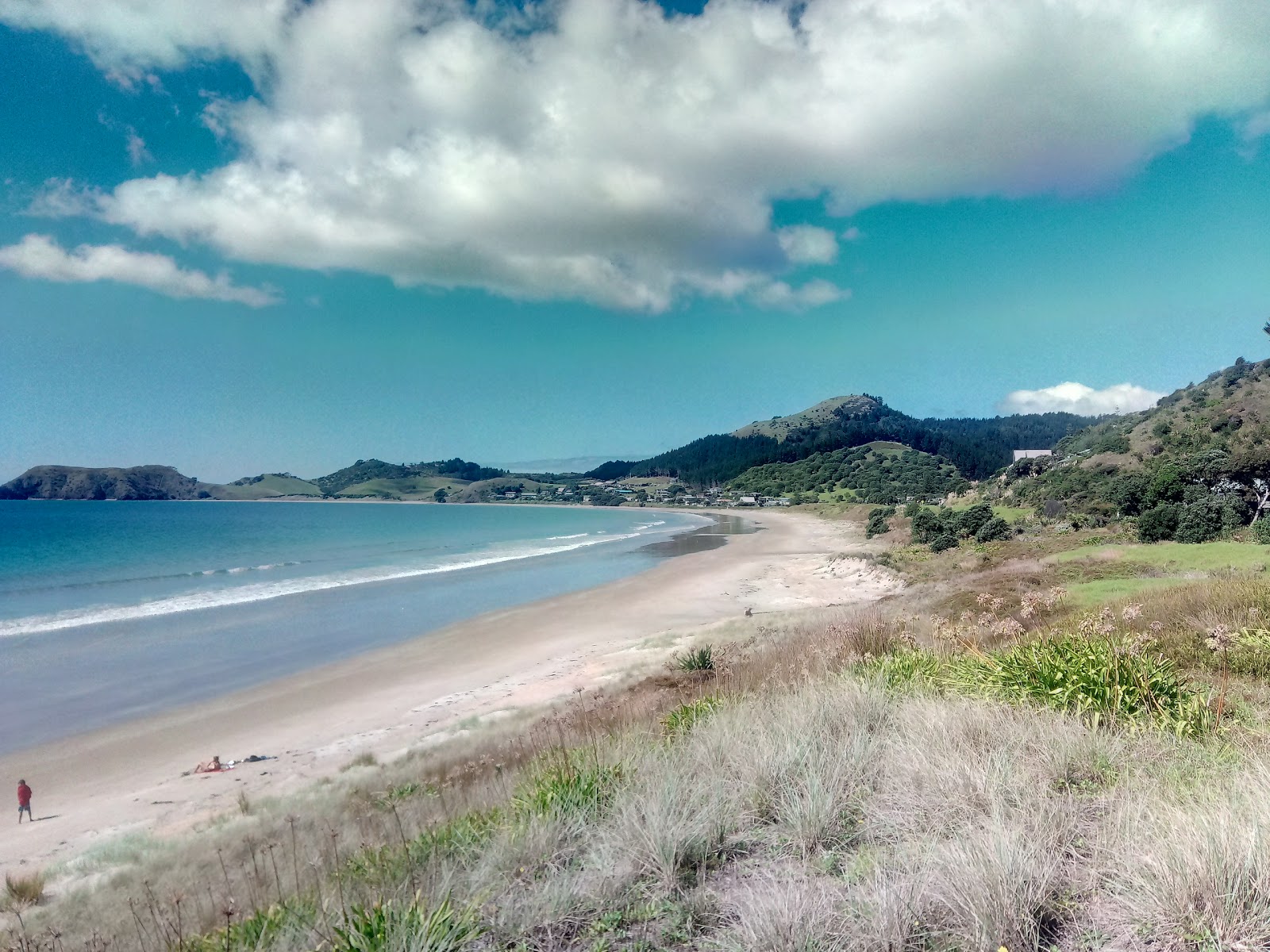 Φωτογραφία του Opito Bay με φωτεινή άμμος επιφάνεια