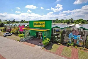 Welter flowers and plants, garden center image
