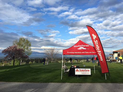 Insurance Agency «Tyson Luthi - State Farm Insurance Agent», reviews and photos