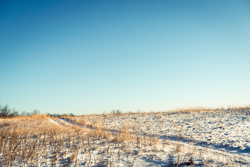 Nature Preserve «St. Croix Savanna Scientific and Natural Area (SNA)», reviews and photos, Osprey Blvd, Bayport, MN 55003, USA