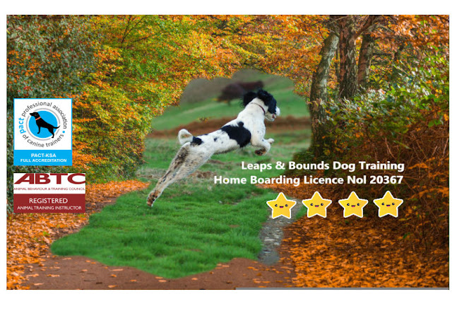 Leaps and Bounds Dog Training and Leaps and Bounds Dog Shop