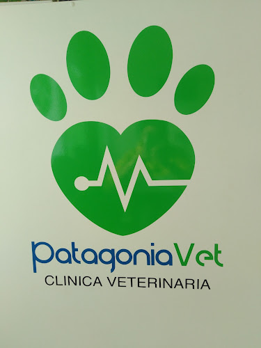 Clínica veterinaria PATAGONIA VET - Veterinario