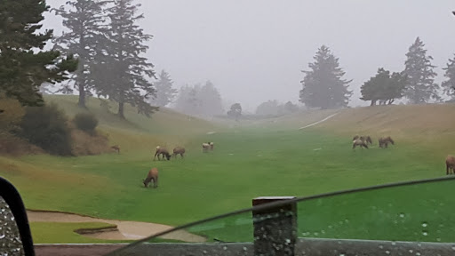 Country Club «Astoria Golf & Country Club», reviews and photos, 33445 Sunset Beach Rd, Warrenton, OR 97146, USA