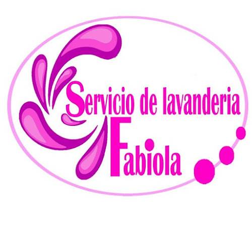 Lavandería Fabiola - La Serena