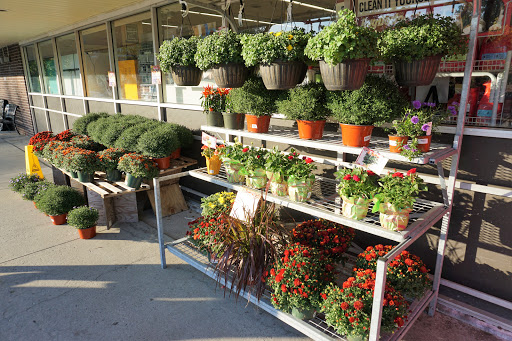 Grocery Store «Hannaford Supermarket», reviews and photos, 7 Mill Rd, Durham, NH 03824, USA