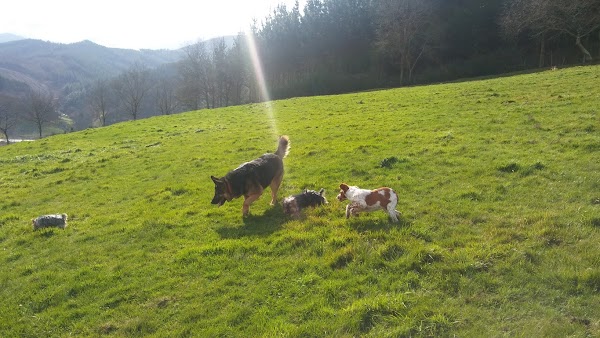 Residencia Kadagua S.L.