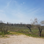 Photo n°6 de l'avis de Elice.r fait le 12/03/2017 à 20:29 sur le  Casale VerdeLuna Wine Resort à Piglio