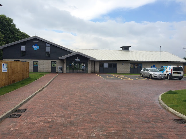 Reviews of Blue Cross rehoming centre, Suffolk in Ipswich - Dog trainer