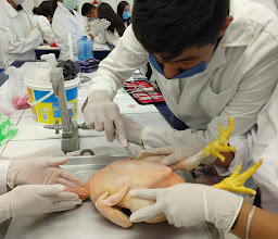 COBACH 145 South Campus Tuxtla photo