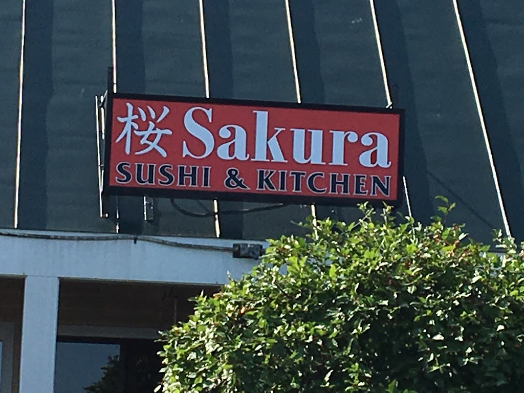 Sakura Sushi & Kitchen 05495