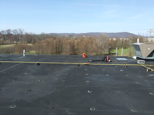 Home Improvement Store «Tractor Supply Co.», reviews and photos, 1503 E Main St, Waynesboro, PA 17268, USA