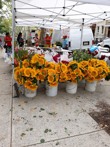 Park «Sunset Park», reviews and photos, 7th Ave & 43rd St, Brooklyn, NY 11232, USA