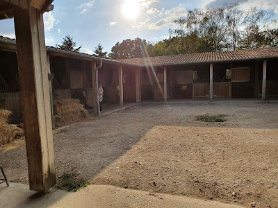 Poney Club et Gîte de Villers en Argonne: stage et séjour équestre, gîte de groupe proche de Reims dans la Marne à Villers-en-Argonne