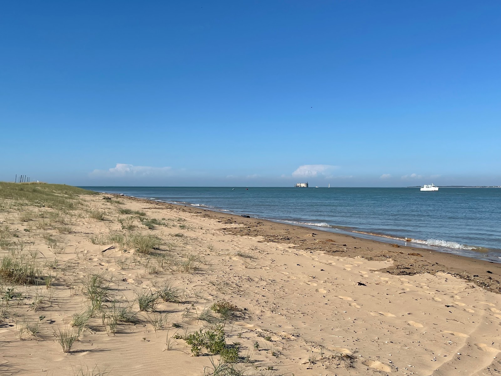 Foto de Plage Des Saumonards zona salvaje