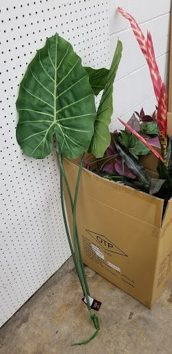 Home Goods Store «Old Time Pottery», reviews and photos, 1870 N Kings Hwy, Myrtle Beach, SC 29575, USA