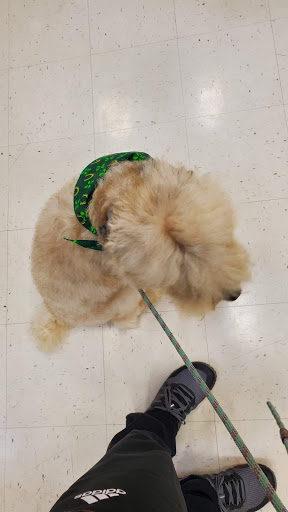 Animal Feed Store «Wilco Farm Store», reviews and photos, 1905 NE Four Acre Pl, Corvallis, OR 97330, USA