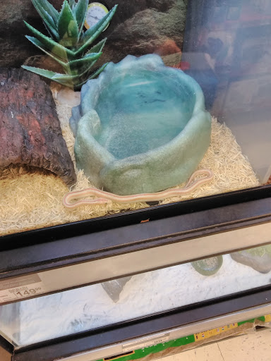 Pet Supply Store «Petco Animal Supplies», reviews and photos, 4440 Rib Mountain Dr, Wausau, WI 54401, USA