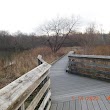 Newport Wetlands