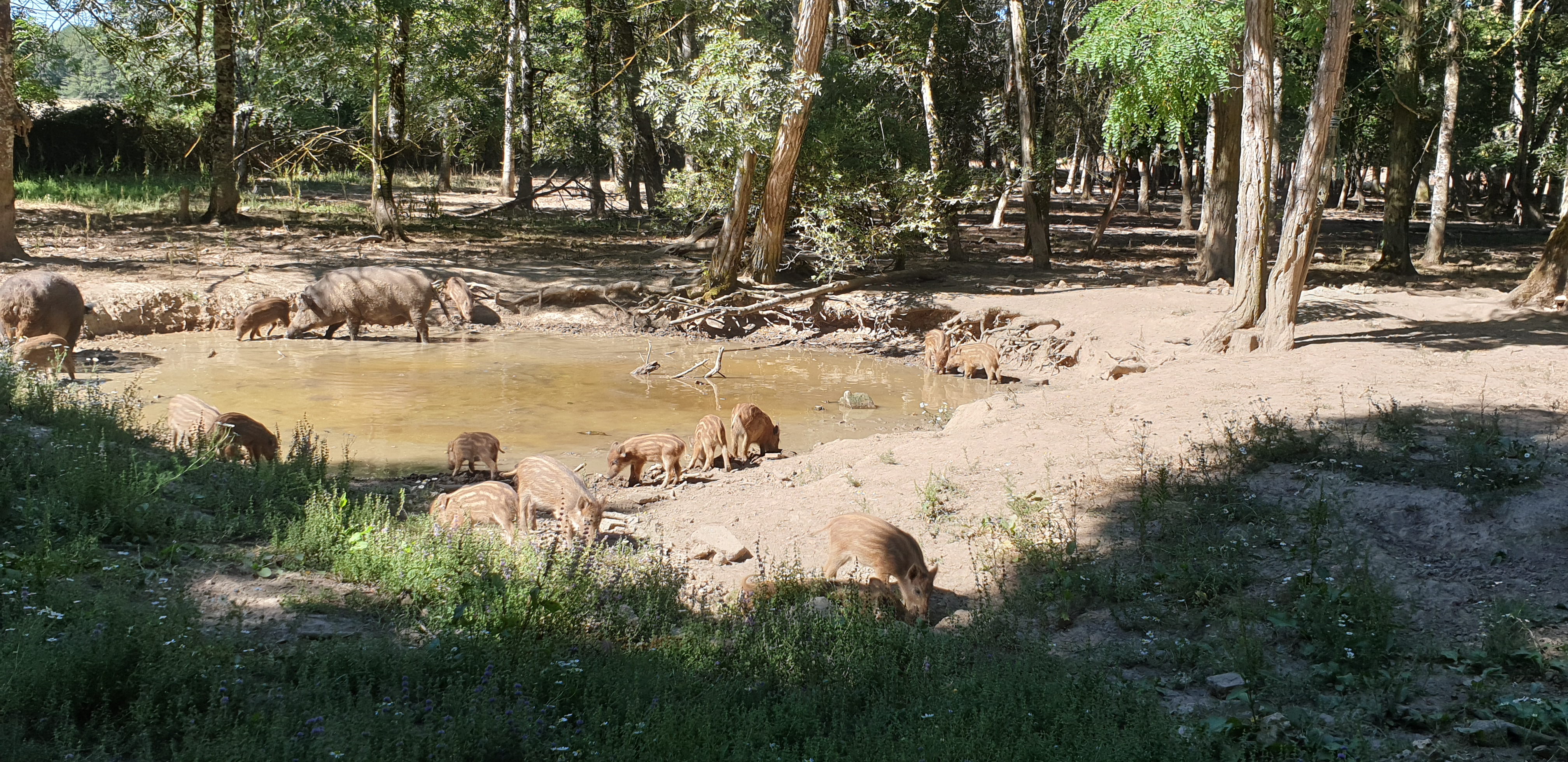 Photo n° 5 de l'avis de Élodie.A fait le 05/08/2020 à 18:45