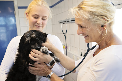 Taastrup Dyreklinik in Taastrup, Høje-Taastrup