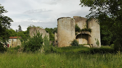 Château de Mursay à Échiré