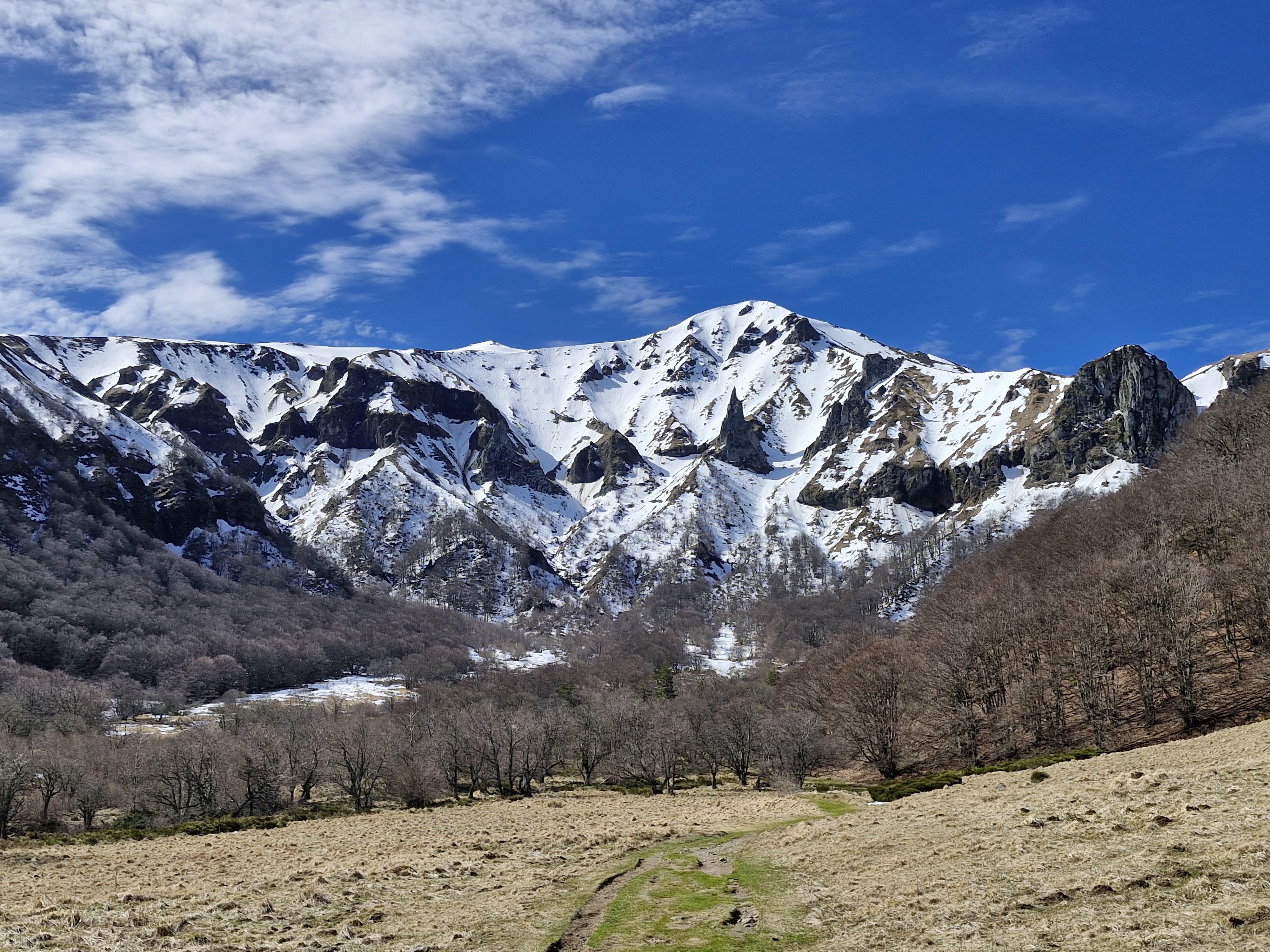 Photo n° 2 de l'avis de Papatt.9 fait le 20/03/2024 à 07:22