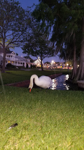 Tattoo Shop «Gaslight Tattoo Company», reviews and photos, 509 Florida Ave S, Lakeland, FL 33801, USA