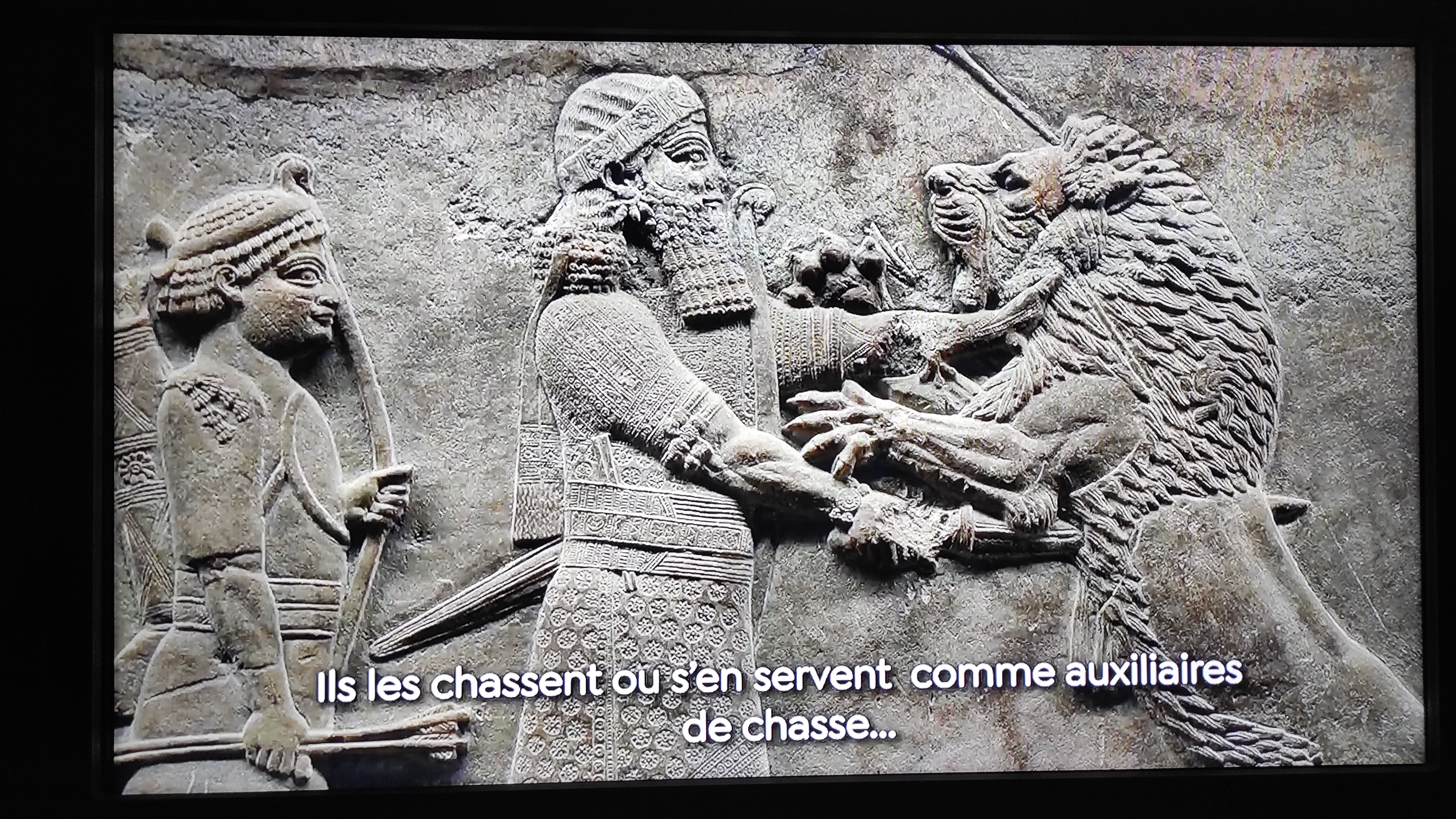 Photo n° 24 de l'avis de Haiat.a fait le 18/08/2023 à 00:45
