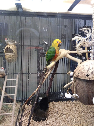 Pet Supply Store «PetSmart», reviews and photos, 420 Home Dr, Pittsburgh, PA 15275, USA