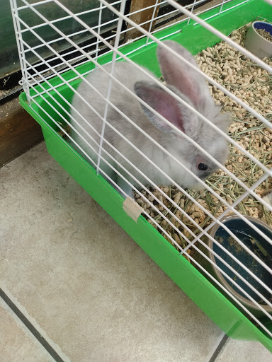 Pet Store «Animal Ark Pet Stores», reviews and photos, 33 Center St, Orem, UT 84057, USA