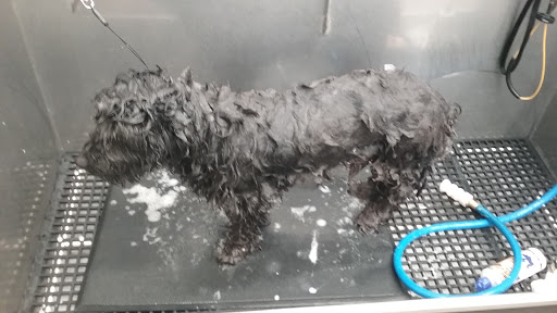 Pet Supply Store «Pet Supplies Plus», reviews and photos, 2001 E 7th St, Charlotte, NC 28204, USA