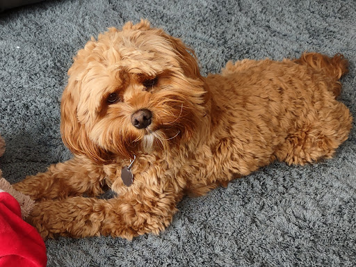 3900 Vinewood Ln N #16, Plymouth, MN 55441, USA