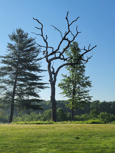 Golf Course «Blue Ridge Trail Golf Club», reviews and photos, 260 Country Club Dr, Mountain Top, PA 18707, USA