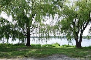 Charles River Esplanade - photo 76