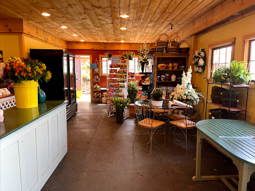 Florist «Petals & Paws», reviews and photos, 465 Albany Turnpike, Canton, CT 06019, USA