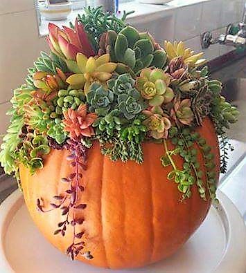 Florist «Every Loving Bloom Florist», reviews and photos, 110 Fairview Ln, Clarksville, TN 37040, USA