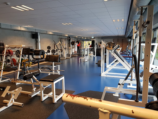 Vendiahallen in Hjørring, Hjørring