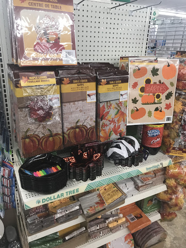 Dollar Store «Dollar Tree», reviews and photos, 847 Queen St, Southington, CT 06489, USA