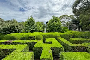 Ashcombe Maze & Lavender Gardens image