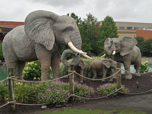 Resort «Kalahari Resorts and Conventions», reviews and photos, 7000 Kalahari Dr, Sandusky, OH 44870, USA