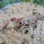 Photo n°1 de l'avis de Colm.c fait le 29/08/2021 à 12:17 sur le  5/8 bistrot à Santa Marinella