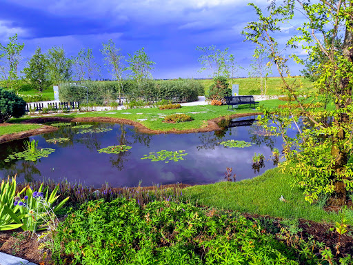 Therme Bucuresti