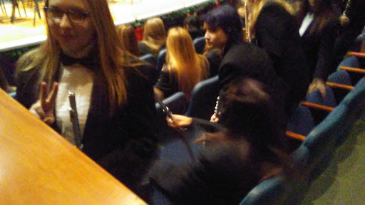 Performing Arts Theater «Charlotte Performing Arts Center», reviews and photos, 378 State St, Charlotte, MI 48813, USA