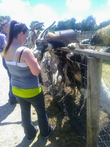 Zoo «Cricket Hollow Zoo», reviews and photos, 1512 210th St, Manchester, IA 52057, USA