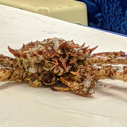 Aquarium «Explore the Ocean World, llc Oceanarium», reviews and photos, 367 Ocean Blvd, Hampton, NH 03842, USA