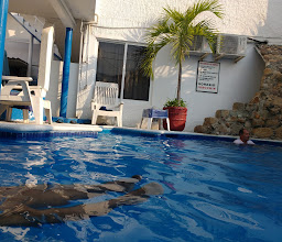 HS Hotsson Smart Acapulco photo