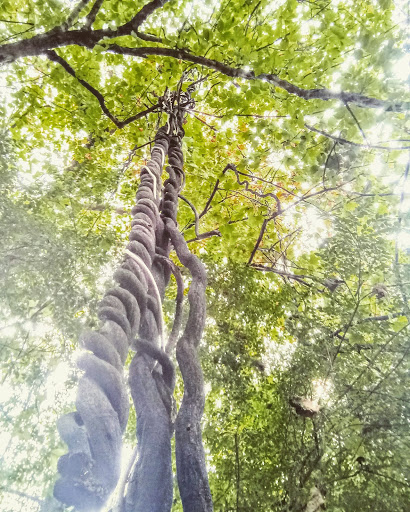 Golf Course «Alfred Tup Holmes Golf Course», reviews and photos, 2300 Wilson Dr SW, Atlanta, GA 30311, USA