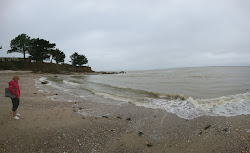 Plage Le Logui'in fotoğrafı çok temiz temizlik seviyesi ile