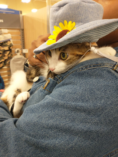 Pet Supply Store «PetSmart», reviews and photos, 4400 Fort Jackson Blvd #300, Columbia, SC 29209, USA