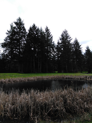 Golf Course «Horseshoe Lake Golf Course», reviews and photos, 1250 SW Club House Ct, Port Orchard, WA 98367, USA